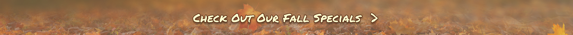 Fall Banner